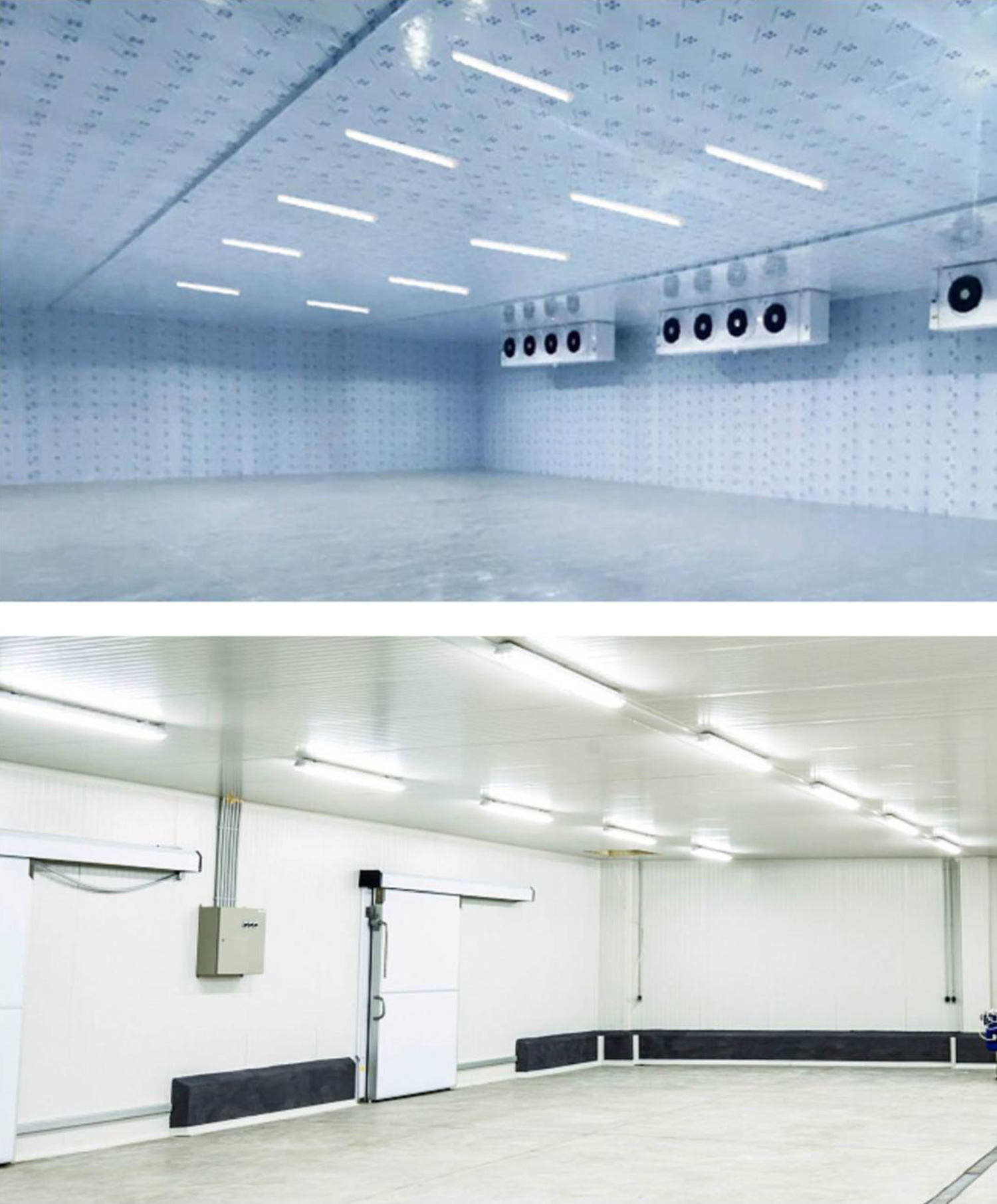 LED WATERPROOF PURFIED LAMP